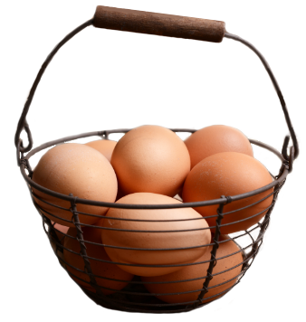 Eggs in a basket.png