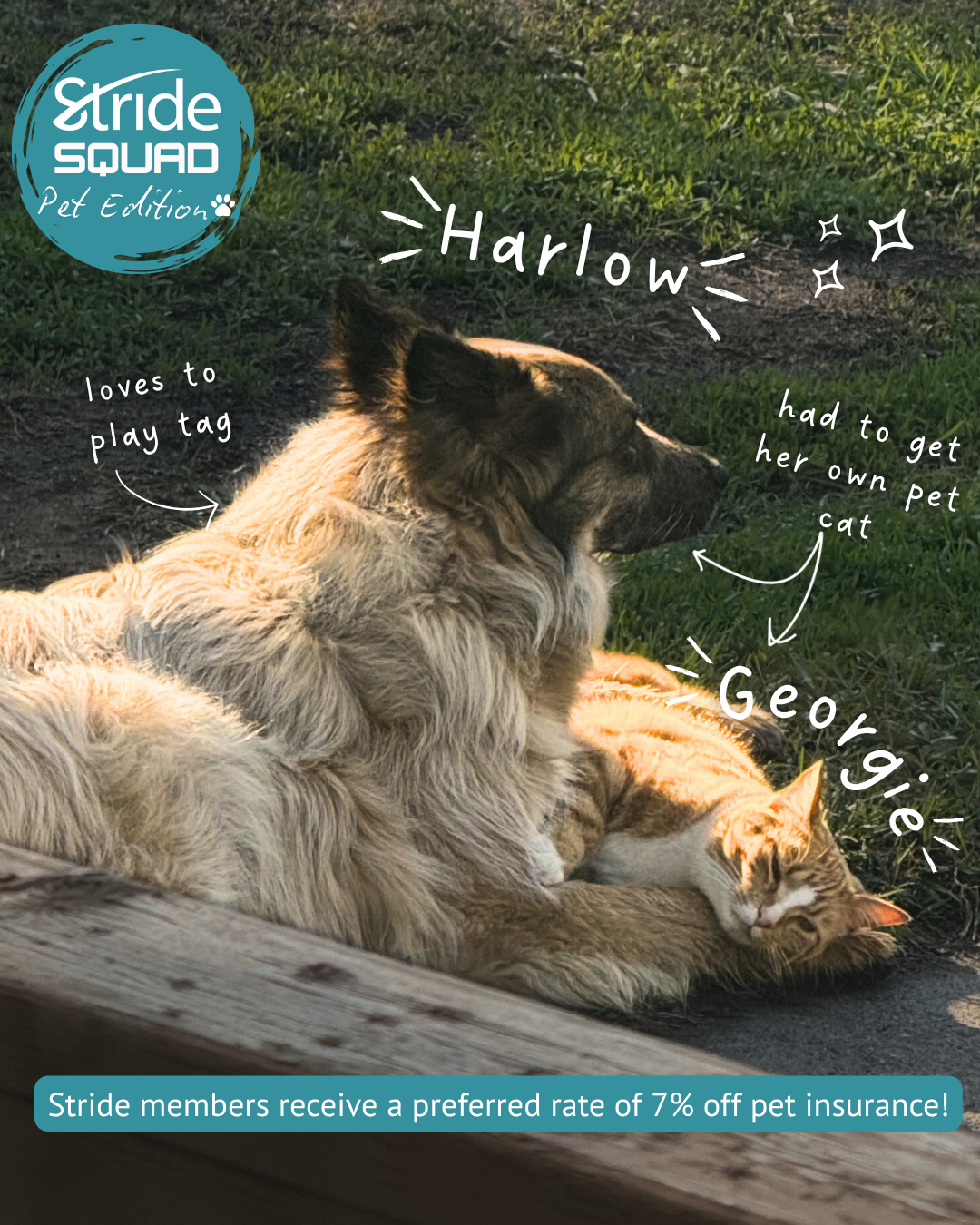 Image Alt Text